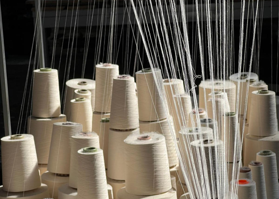 A Importância da Decoração Sustentável e o seu Impacto Ambiental